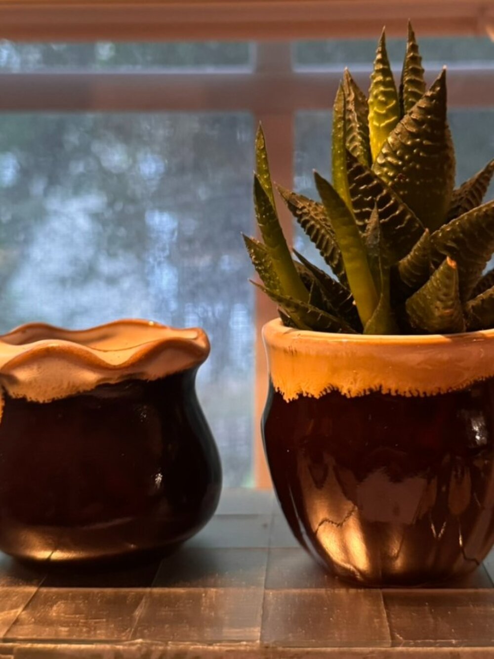 Drip Glaze Pottery Set of 2| Earthy Brown Miniature Succulent & Air Plant Holder